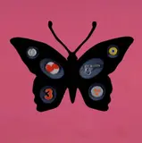 Renzo Nucara, Butterfly effect