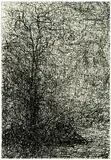William T. Wiley, Winterwood, 1989, Ink on paper