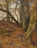 William Samuel Jay, Untitled, William Samuel Jay (1843-1933) Wood pigeons amongst beech trees oil on canvas 91 x 71cm