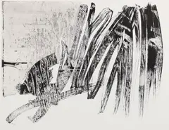 Chihung Yang, S.O.C. #2, 2014, etching and aquatint