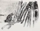 Chihung Yang, S.O.C. #2, 2014, etching and aquatint
