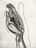 Stanley William Hayter, Cheiromancy, 1935/, 1974, etching and soft ground, pencil