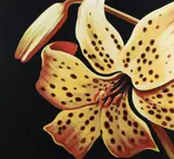 Lowell Blair Nesbitt, Tiger Lily, 1978, serigraph