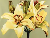 Lowell Blair Nesbitt, Yellow Lilies on Green, 1980, serigraph