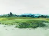 Michael Strueber, Wetlands Landscape, watercolor