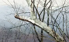 March in Pennsylvania by Charles C. Pitcher, 2005, watercolor, offered Oct 2022