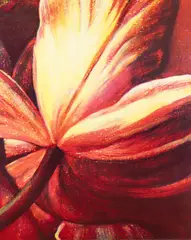 Title: Open Tulip by Tim Maguire, 2002, lithograph printed in colors, dimensions:, offered Oct 2022