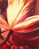 Tim Maguire, Title: Open Tulip, 2002, lithograph printed in colors, dimensions:
