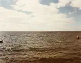 Joel Meyerowitz, from Bay Sky Porch