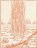 Aristide Maillol, Three Trees in Orange, from Virgil's Georgics, 1943-1944, but not published until, 1950, woodcut on paper