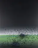 David Manzur, Requiem Para Un Paisaje Amazónico
