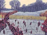 Gordon Mortensen, Winter Sumac, 1982 reduction color