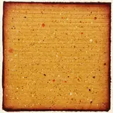 David Shapiro, Untitled