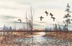 David Hagerbaumer, Placid Marsh - Black Duck, 1964, color, lithograph
