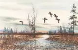 David Hagerbaumer, Placid Marsh - Black Duck, 1964, color