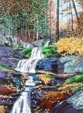 David T. Kessler, Autumn Falls