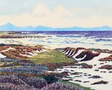 Gordon Mortensen, Moss Beach, 1981 reduction color