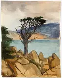 Mary DeNeale Morgan, California Coastal Landscape