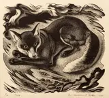 Agnes Miller Parker, Fox, 1941, wood, engraving, 1940
