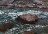 Glenn Whitehead, Rocks in the Stream, c.2000, pastel on paper