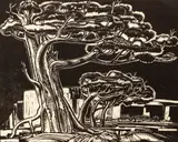 Valenti Angelo, Survival or Sierra Juniper #1, 1952, woodcut