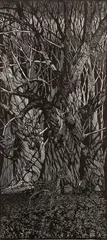 Alice in Wonderland, circa 1982, wood by Barry Moser, engraving, offered Mar 2022