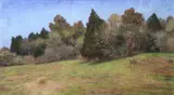 Glenn Whitehead, Summer Landscape, pastel on paper