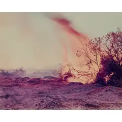 Desert Fire #77 by Richard Misrach, 1984, chromogenic print, [approximate dimensions -, offered Mar 2026
