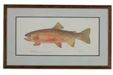 Eileen Klatt, Untitled, watercolor