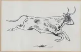 Edward Borein, Featured in this lot is this India, Ink sketch