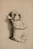 Cecil Aldin, - ''For What We Are About to Receive''-, etching