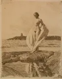 Anders Zorn, - ''The Swan'' (Asplund 269 iii/III)-, etching, 1915