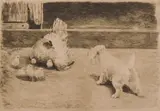 Marguerite Kirmse, - Dogs with Hens & Chicks-, etching