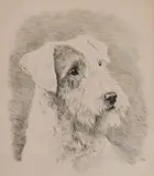 Marguerite Kirmse, - ''The Beloved Vagabond''-, etching