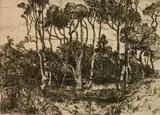 Mary Nimmo Moran, - ''Solitude''-, etching