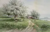 Carl Weber, - Sheep in Landscape-, watercolor on paper