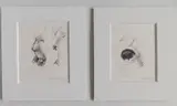 Shirley Aley Campbell, - Nude Studies- 2, pen and ink on paper, both