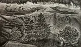 Letterio Calapai, - ''Adirondack Afternoon''- wood, engraving, 1980