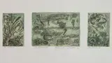 Letterio Calapai, - ''Sea Forms I-III''-, etching in color, 1960