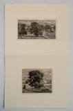 Luigi Lucioni, - 1.) ''Tree Group'' (Embury 31)-, etching, 1928