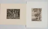 Luigi Lucioni, - 1.) ''Big Elm'' (Embury 50)-, etching, 1934
