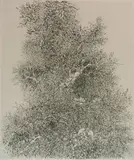 Gabor Peterdi, - Untitled-, etching, 1964