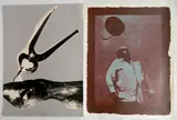 Michael Rothenstein, - 1.) ''Clench'' (Sidey 190)-, linocut, photo screenprint in color