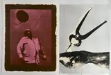 Michael Rothenstein, - 1.) ''Clench'' (Sidey 190)-, linocut, photo screenprint in color