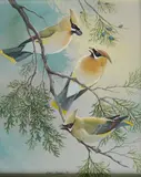 Diane Pierce, - Cedar Waxwings On A Branch-, gouache on paper, 1971