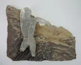 - Untitled- by Melanie Guernsey Leppla, mixed media sculpture, offered May 2019