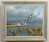 David Maass, - ''Batt'ling The Head Winds''-