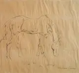 William Sommer, - ''Horse''-, pen and ink on paper