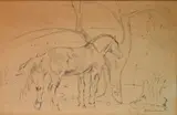 William Sommer, - Horse in Field-, pen and ink on paper