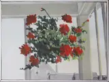 Geranium Hanging Basket by Nathaniel Benchley, Oil on Canvas, offered Dec 2019